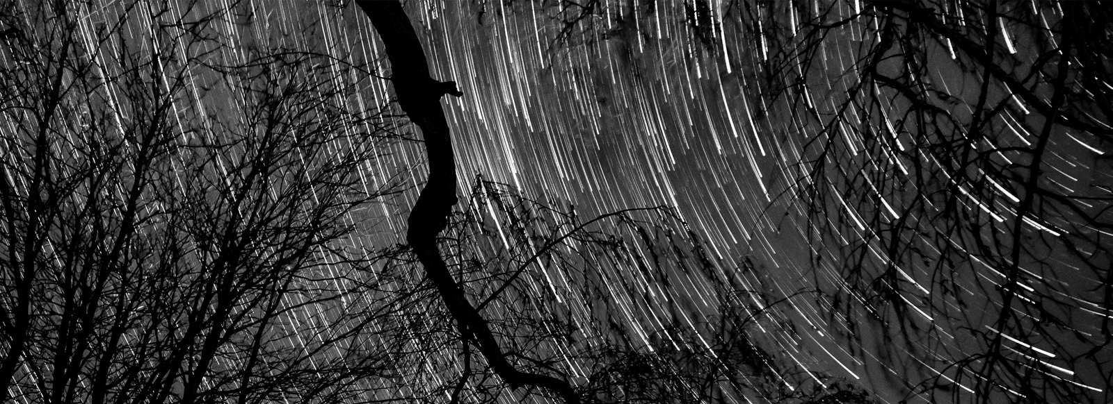 Header Stars01